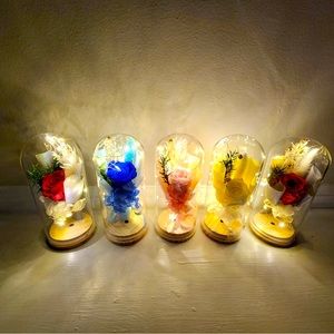 Infinity real rose flower